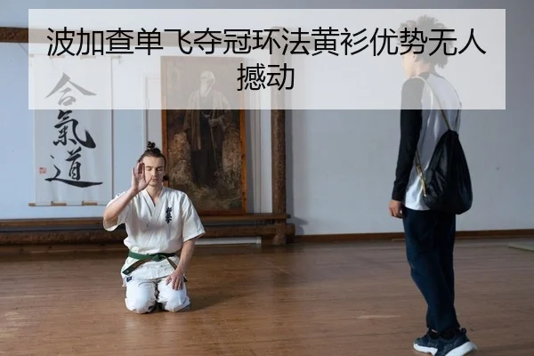 bo-jia-cha-dan-fei-duo-guan-huan-fa-huang-shan-you-shi-wu-ren-han-dong-2-156.jpg