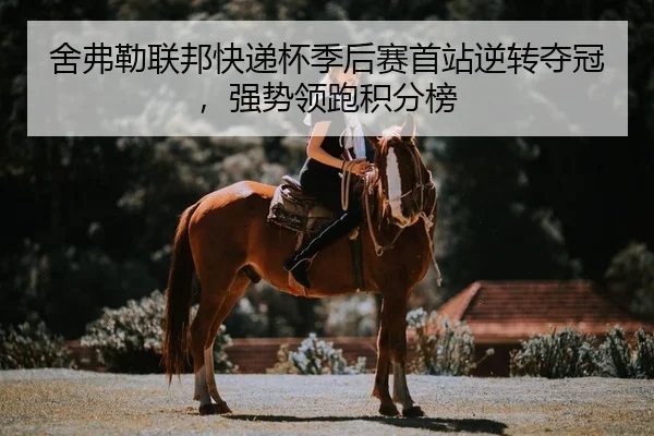 she-fu-lei-lian-bang-kuai-di-bei-ji-hou-sai-shou-zhan-ni-zhuan-duo-guan-qiang-shi-ling-pao-ji-fen-bang-2-617.jpg